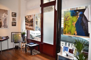 GalleryArt.C
