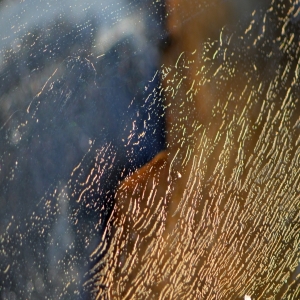 BWC.7260