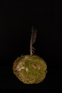 Plume #12